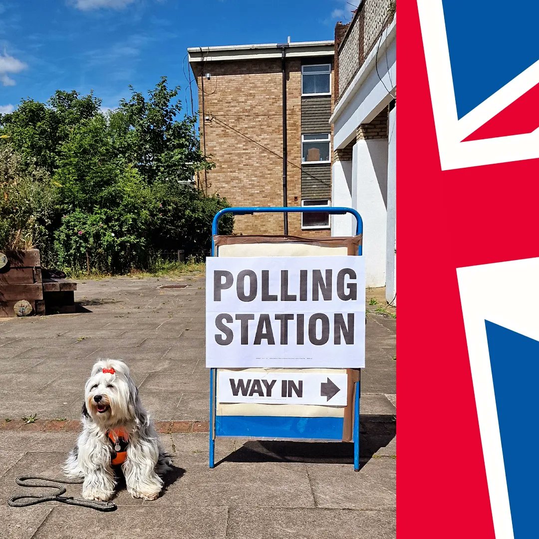 Spherical Thoughts (@aksphere) on Twitter photo I'm Roscoe, the 2 year older Tibetan Terrier during #DogsAtPollingStations at Royal Tunbridge Wells.
#RishiSunakAndKeirStarmer would probably say, "She did a good initiation by taking her hoomans to vote."
#UKElection #GeneralElection2024
<a href="/ejdav172/">Emily Jane Davies</a> I'm Roscoe, the 2 year older Tibetan Terrier during #DogsAtPollingStations at Royal Tunbridge Wells.
#RishiSunakAndKeirStarmer would probably say, "She did a good initiation by taking her hoomans to vote."
#UKElection #GeneralElection2024
<a href="/ejdav172/">Emily Jane Davies</a>