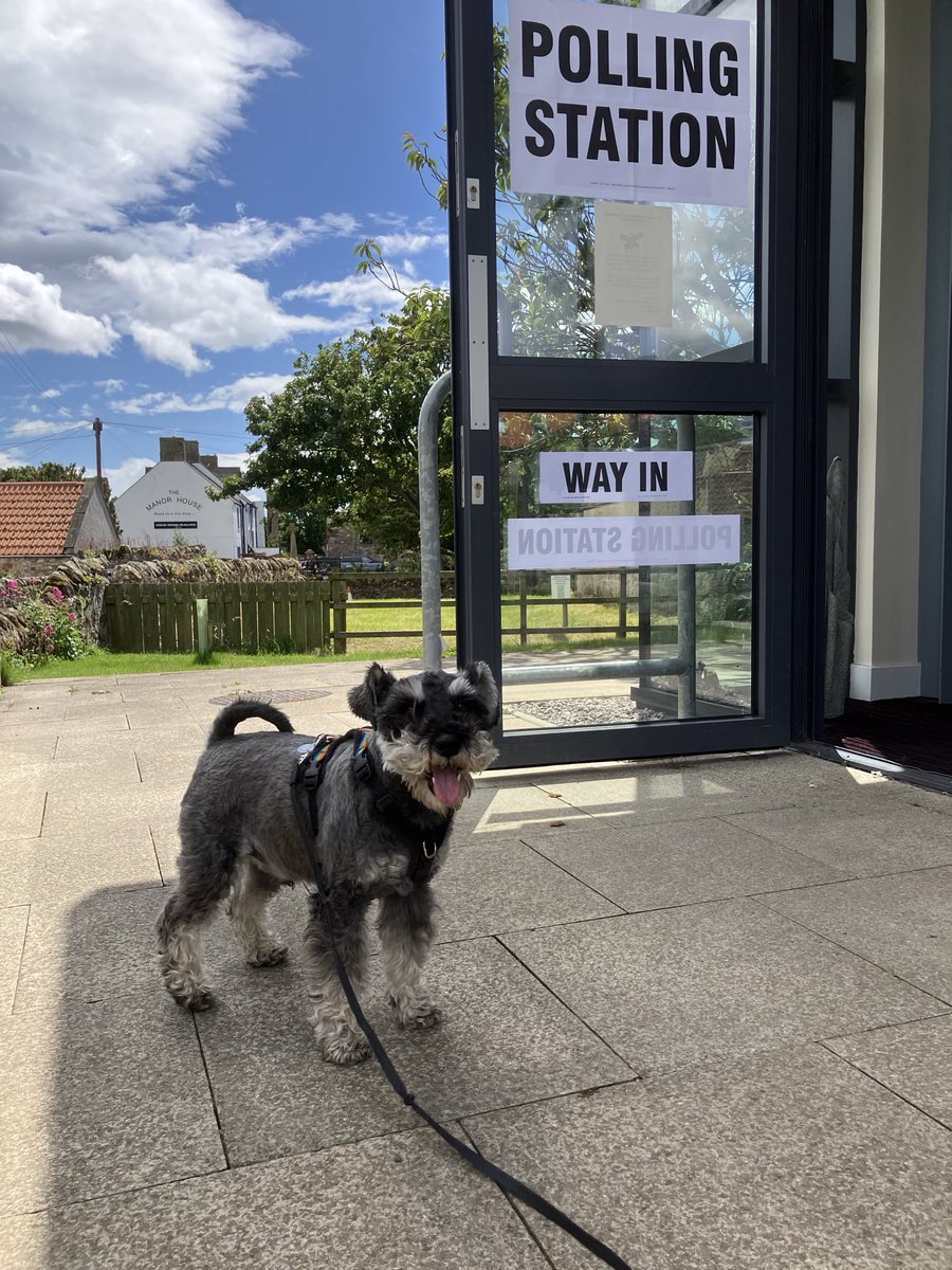 CarlCape's tweet image. Polling station #holyisland #Northumberland with Wolfie @🗳️#dogsatpollingstations