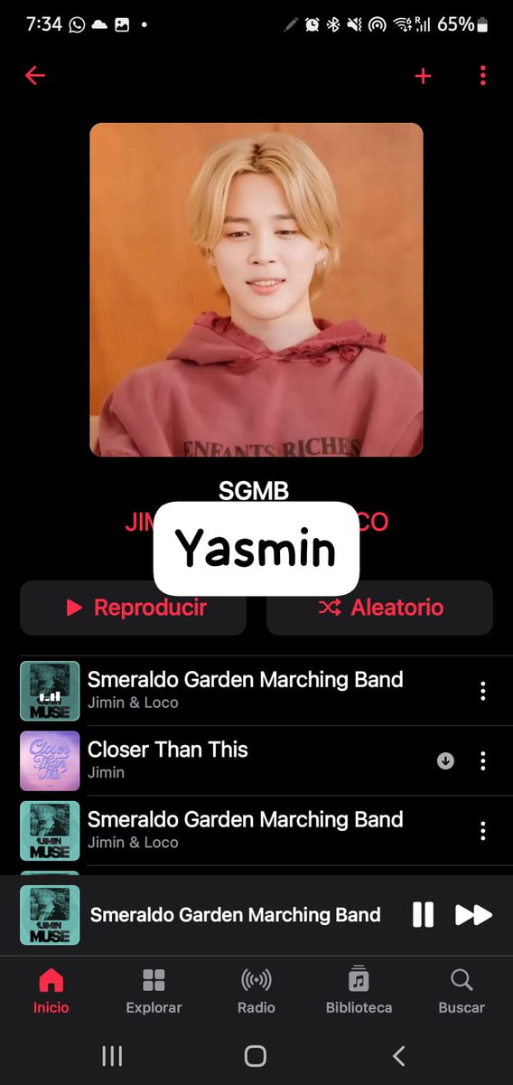 Calma8428Yasmin's tweet photo. @hourlystream_jm SMERALDO BATTLE MARCH 
STREAM SGMB NOW https://t.co/V5OBVzBeVx