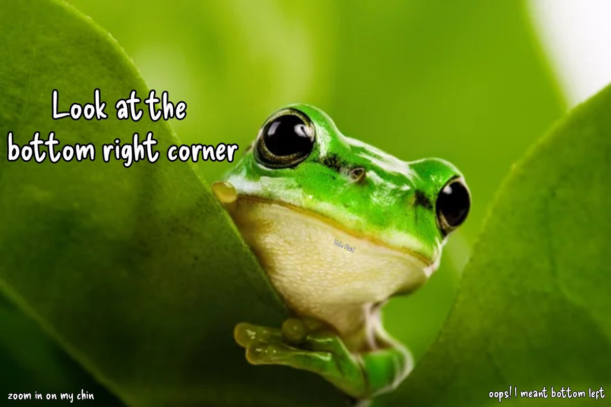 evrahrose's tweet photo. Huuunnnn ๐ฅน
#FrogSays https://t.co/9qC6yusz4J