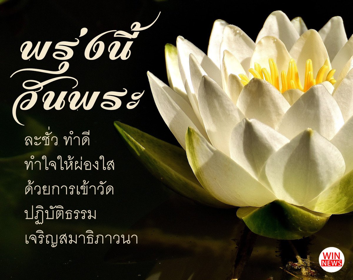 Chaninn S. tweet media