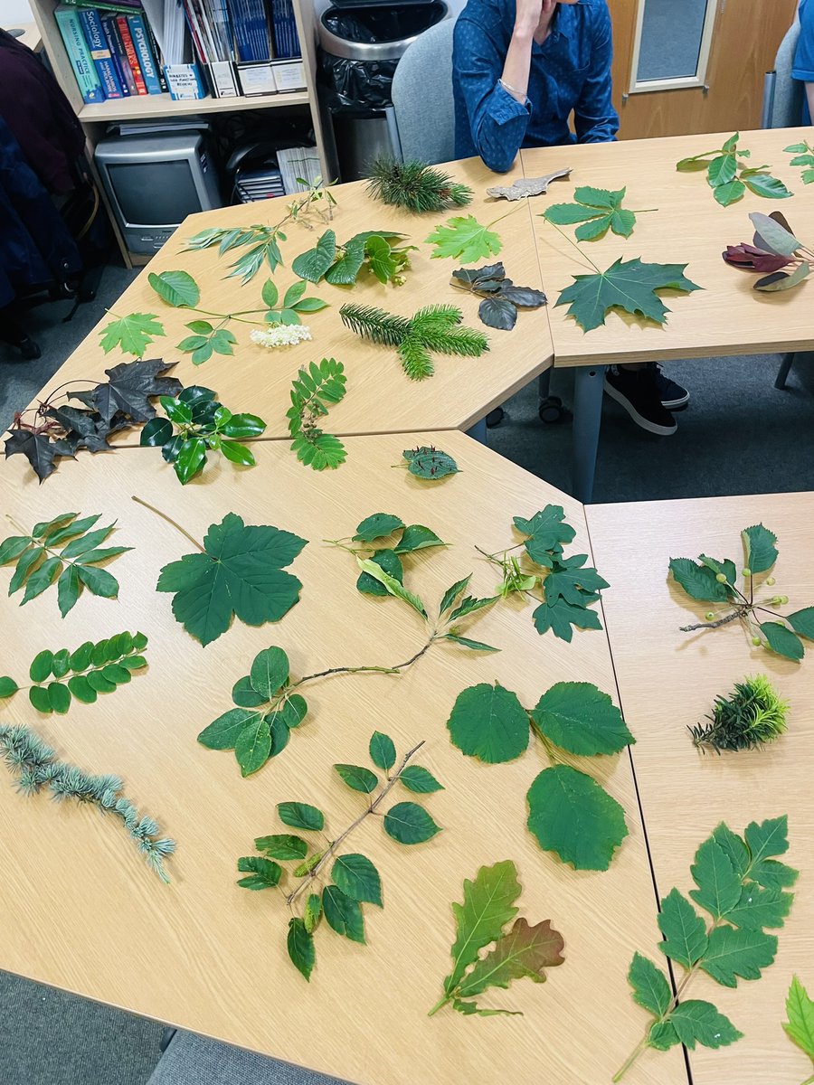 ReMind UK tweet media