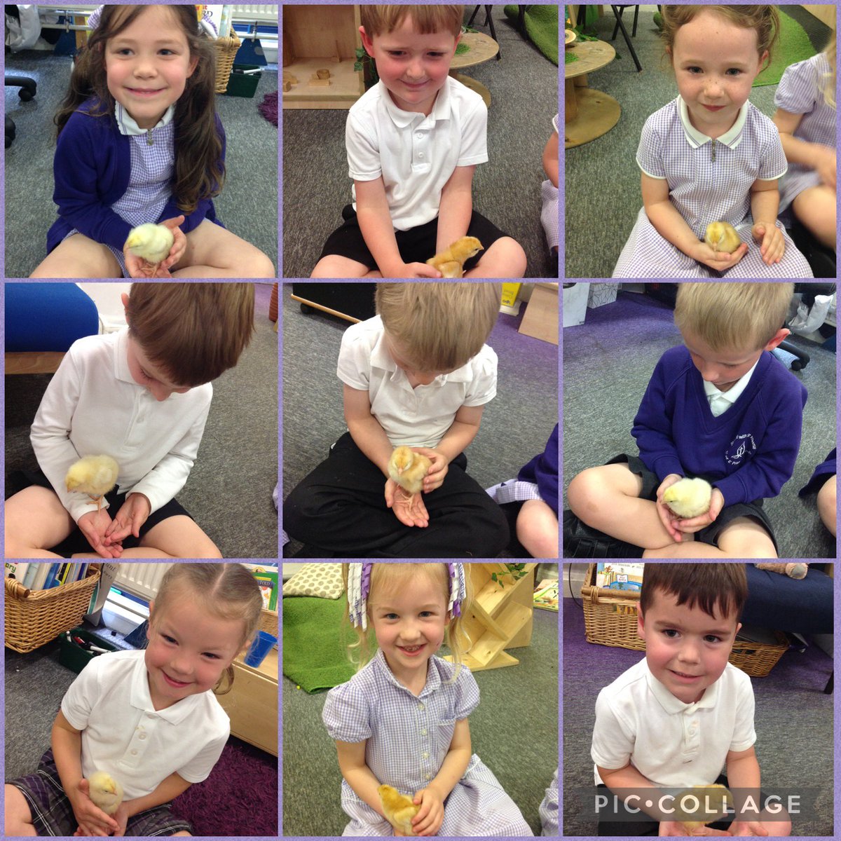 St Michael with St Thomas CE Primary School tweet media