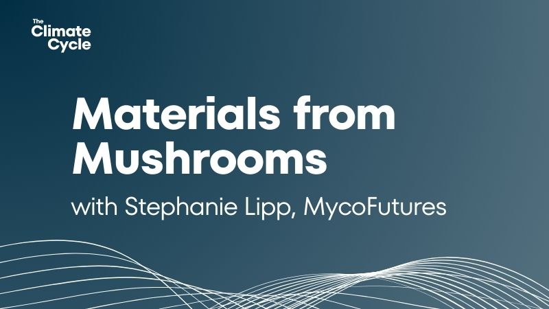 New podcast episode out with Stephanie Lipp, co-founder of MycoFutures!  They're creating a leather alternative using mycelium, the root system of fungi. We talk mycelium cultivation, working with the material specs of fashion companies &amp; more! 
Listen: podcasters.spotify.com/pod/show/clima…