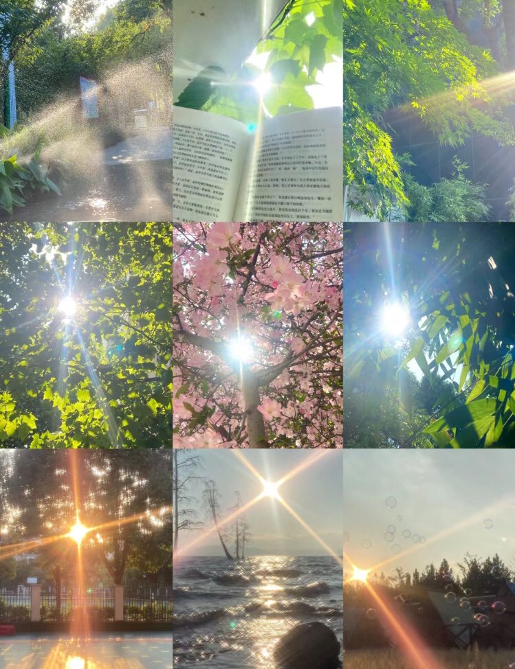 piinkibun's tweet photo. sunlight <3 https://t.co/bFRnYS0Hxn