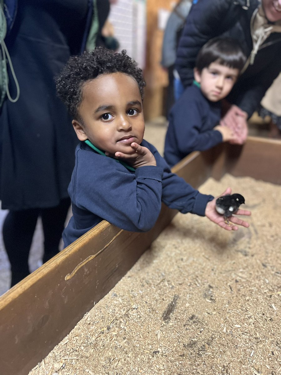 Lady Lane Park School & Nursery (@ladylanepark) on Twitter photo We had a super day time today on our nursery trip to Hesketh farm from guinea pig brushing, calf feeding, egg collecting and chick cuddling, it’s been a day filled with unforgettable experiences! 🐾🌞 A big thank you to Hesketh Farm for their warm hospitality.
<a href="/Alpha_Schools/">Alpha Schools</a> We had a super day time today on our nursery trip to Hesketh farm from guinea pig brushing, calf feeding, egg collecting and chick cuddling, it’s been a day filled with unforgettable experiences! 🐾🌞 A big thank you to Hesketh Farm for their warm hospitality.
<a href="/Alpha_Schools/">Alpha Schools</a>