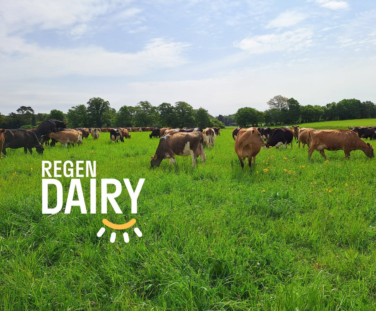 🌱 Ready to start your regenerative dairy journey?

The Regen Dairy Project has launched a free online training course for farmers!

Learn more about how to create a productive and sustainable dairy sector at: regendairy.org/training-cours… 

#RegenerativeAgriculture #DairyFarming