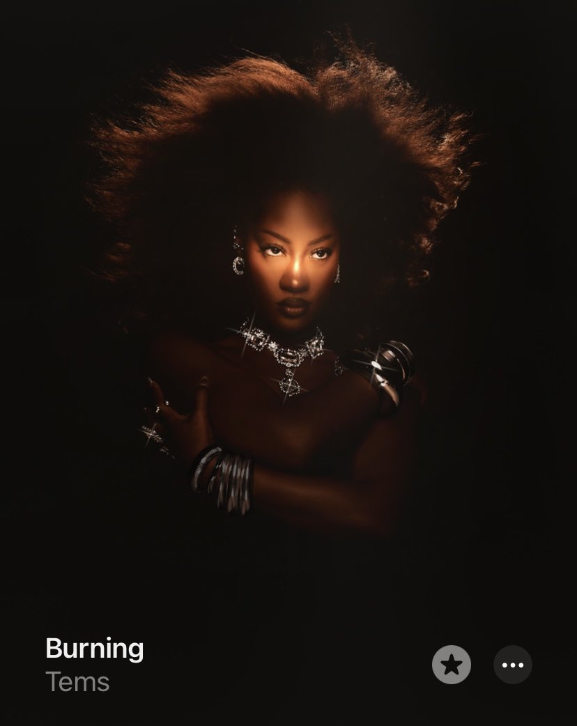 tems 𝖘z𝖓 tweet media