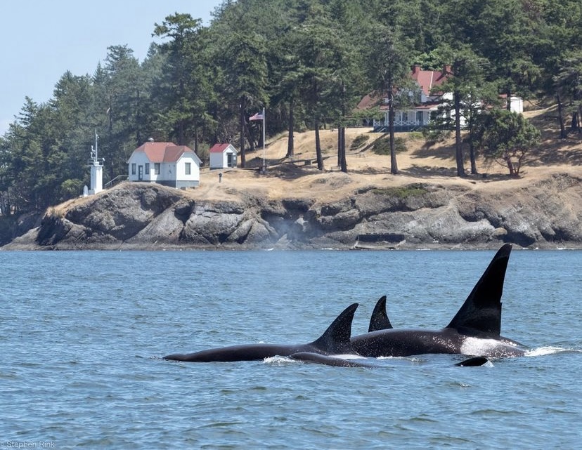 If your Fourth of July plans include spending time outdoors, visit our Responsible Travel Hub to learn how to enjoy the holiday while recreating responsibly: bit.ly/4bAsBEH

📸: stephenrinkphoto | IG
