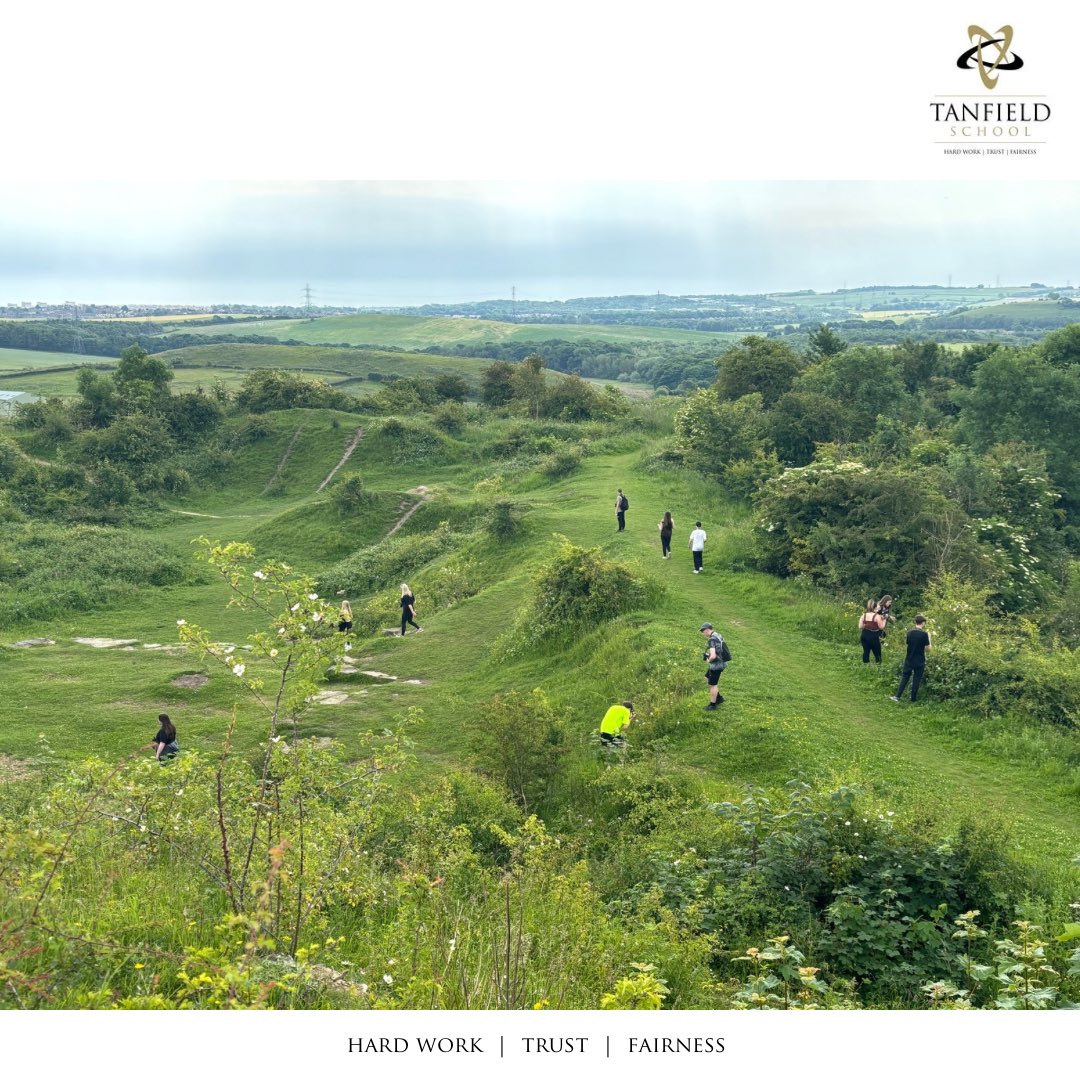 Tanfield School tweet media