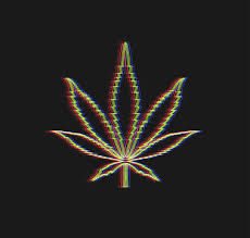 Wishing everyone a safe and happy Fourth of July 🎇🇺🇸🎆

#BeHappy #Canna4Climate #CannabisAlliance #NWLeaf #TheStranger