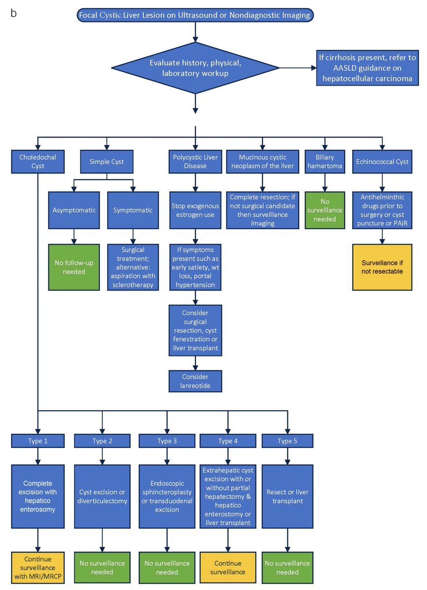 The <a href="/AmCollegeGastro/">ACG</a> has released new clinical guidelines on focal liver lesions. 

Download the guidelines here: 
acortar.link/h4tzY0

<a href="/AEEHLiver/">Asociación Española para el Estudio del Hígado</a> 
#livertwitter