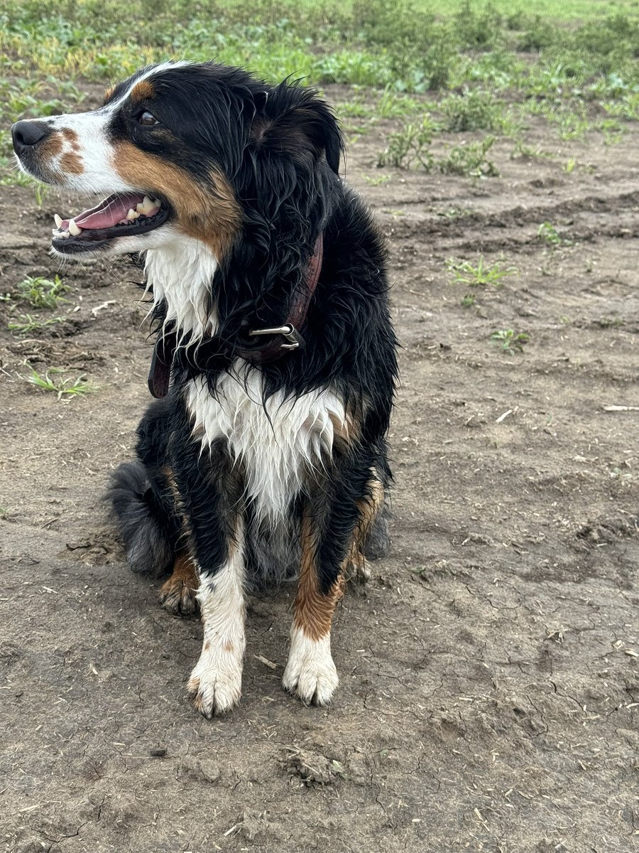 Craig Olson tweet media