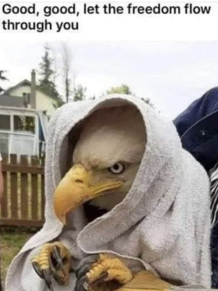 Mason (@masonshow) on Twitter photo 