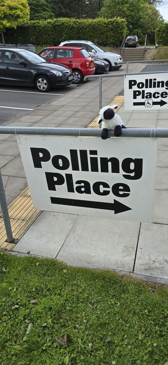 Mac the Sheep says use your vote. #SheepAtPollingStations #GeneralElection2024