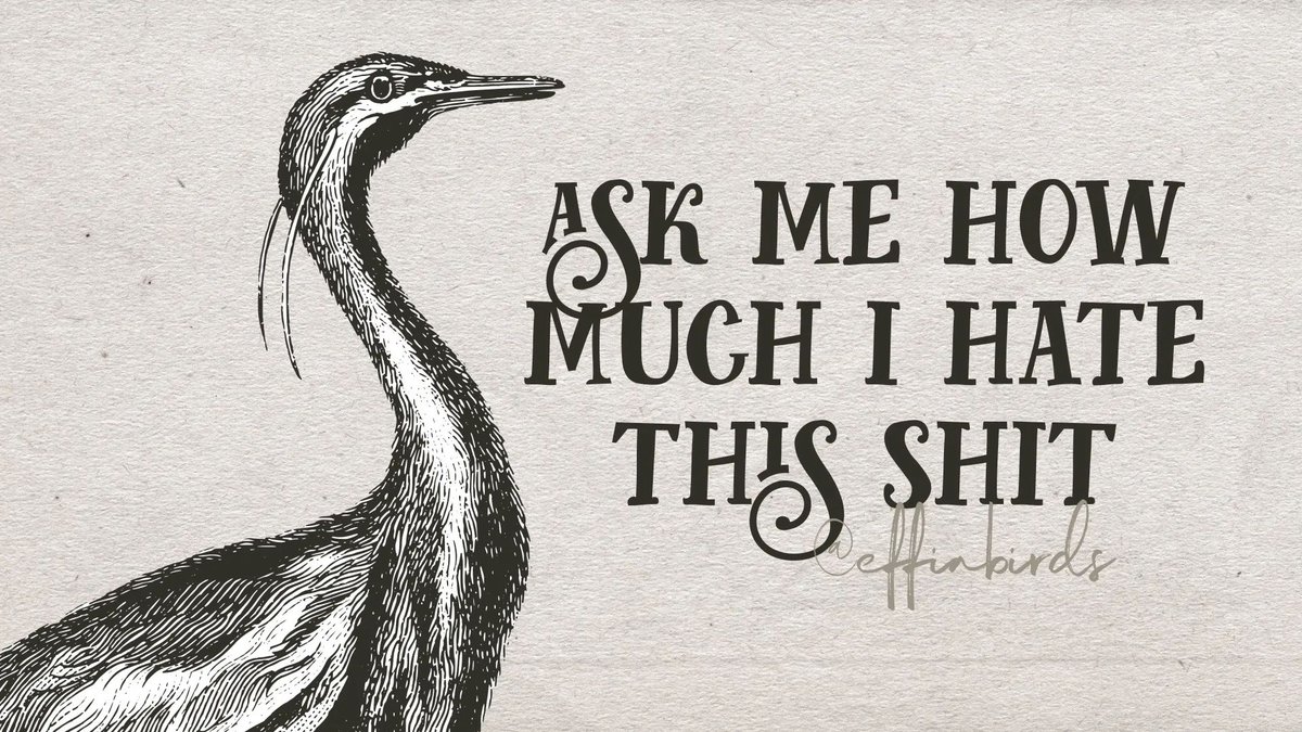 EffinBirds's tweet photo. https://t.co/ey2aw2mh61