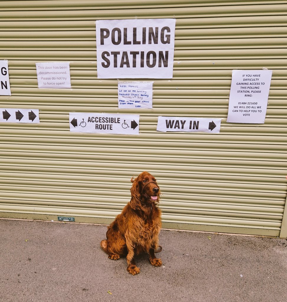 #dogsatpollingstations

Chaz.