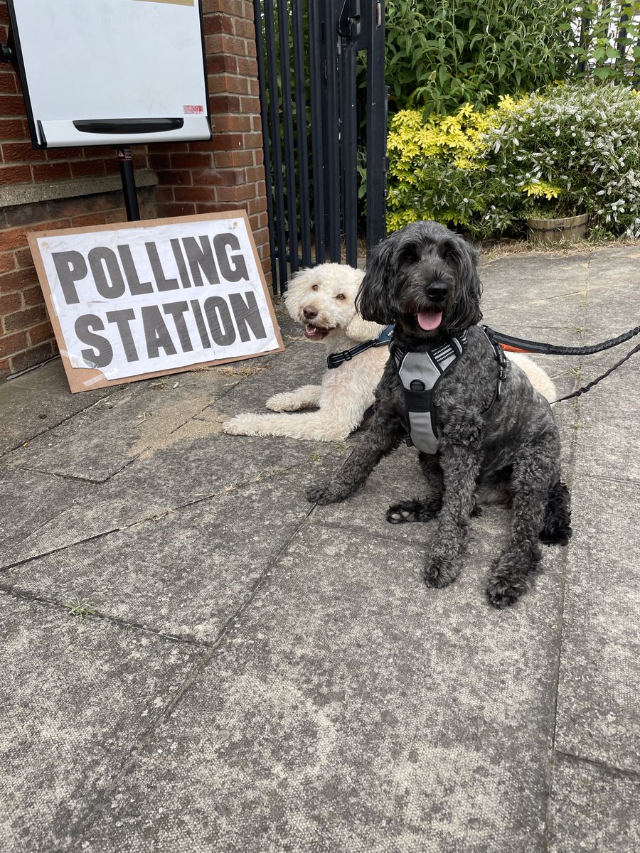 AndrewBrader's tweet photo. #dogsatpollingstatons https://t.co/ubLDYkvfV5