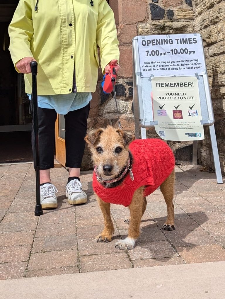 sthelenscouncil's tweet photo. Is it even election day if we don't share some #DogsAtPollingStations?🐶If you've taken your furry friend to vote with you today - show us a pic.
If you've not been to vote yet, polling stations are open until 10pm. Don't forget your photo ID!
#GeneralElection2024 #StHelensVotes https://t.co/x8LrNtxPDL