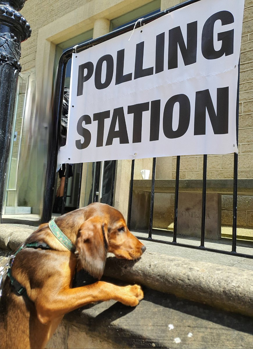 The sweet smell of democracy, with notes of tory collapse

#dogsatpollingstations