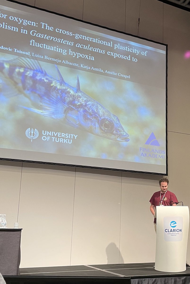 Luca Pettinau, PhD - Moved to blue sky (@luca_pett) on Twitter photo Interesting presentation of <a href="/LToisoul/">Ludovic Toisoul</a> about cross-generational plasticity in cardiorespiratory physiology of sticklebacks! #SEBCONFERENCE Interesting presentation of <a href="/LToisoul/">Ludovic Toisoul</a> about cross-generational plasticity in cardiorespiratory physiology of sticklebacks! #SEBCONFERENCE
