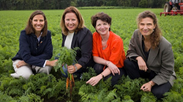 Voedselproducenten willen met 'Wortel Collectief’ regeneratieve landbouw zetje in de rug geven dlvr.it/T98kkf