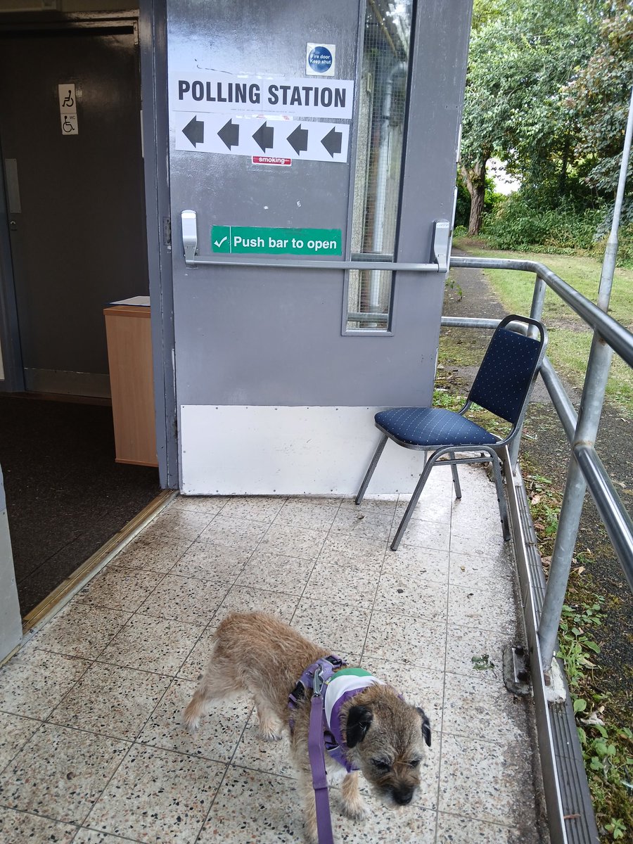 Rubyscout2's tweet photo. Dun me dooty n bin to vote ๐๐ค๐ #dogsatpollingstations
#btposse #GetOutAndVote #votesforwomen #suffridge #votesfordogs https://t.co/nJ5o9wwNrn