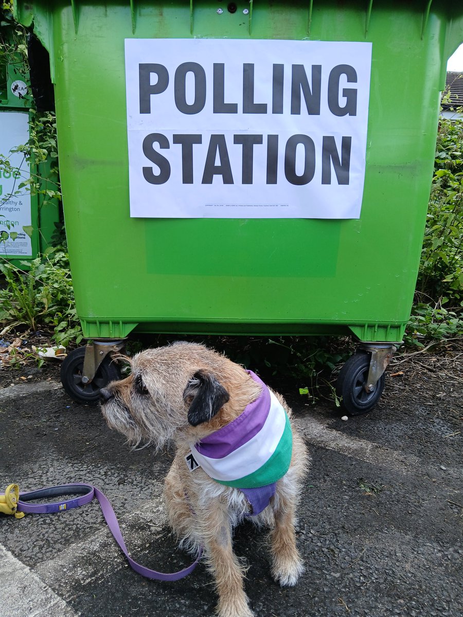Rubyscout2's tweet photo. Dun me dooty n bin to vote ๐๐ค๐ #dogsatpollingstations
#btposse #GetOutAndVote #votesforwomen #suffridge #votesfordogs https://t.co/nJ5o9wwNrn