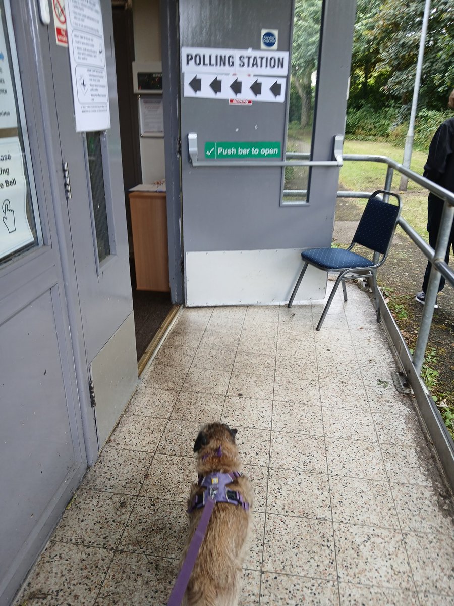 Rubyscout2's tweet photo. Dun me dooty n bin to vote ๐๐ค๐ #dogsatpollingstations
#btposse #GetOutAndVote #votesforwomen #suffridge #votesfordogs https://t.co/nJ5o9wwNrn