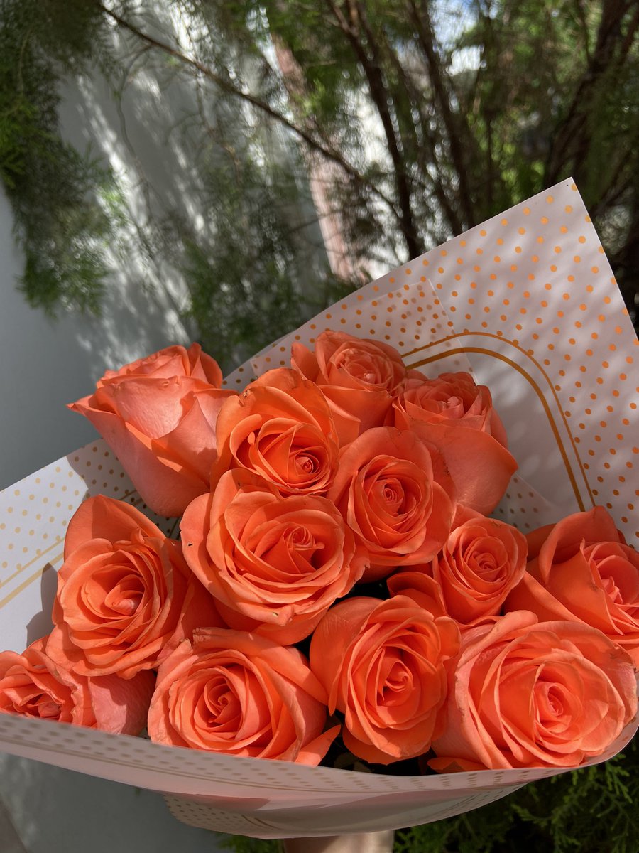 Mortiz533's tweet photo. Hoy vino temprano a dejarme algunas cositas y flores para que me sintiera mejor, lo amo🥺💗 https://t.co/YKrvldRz3H