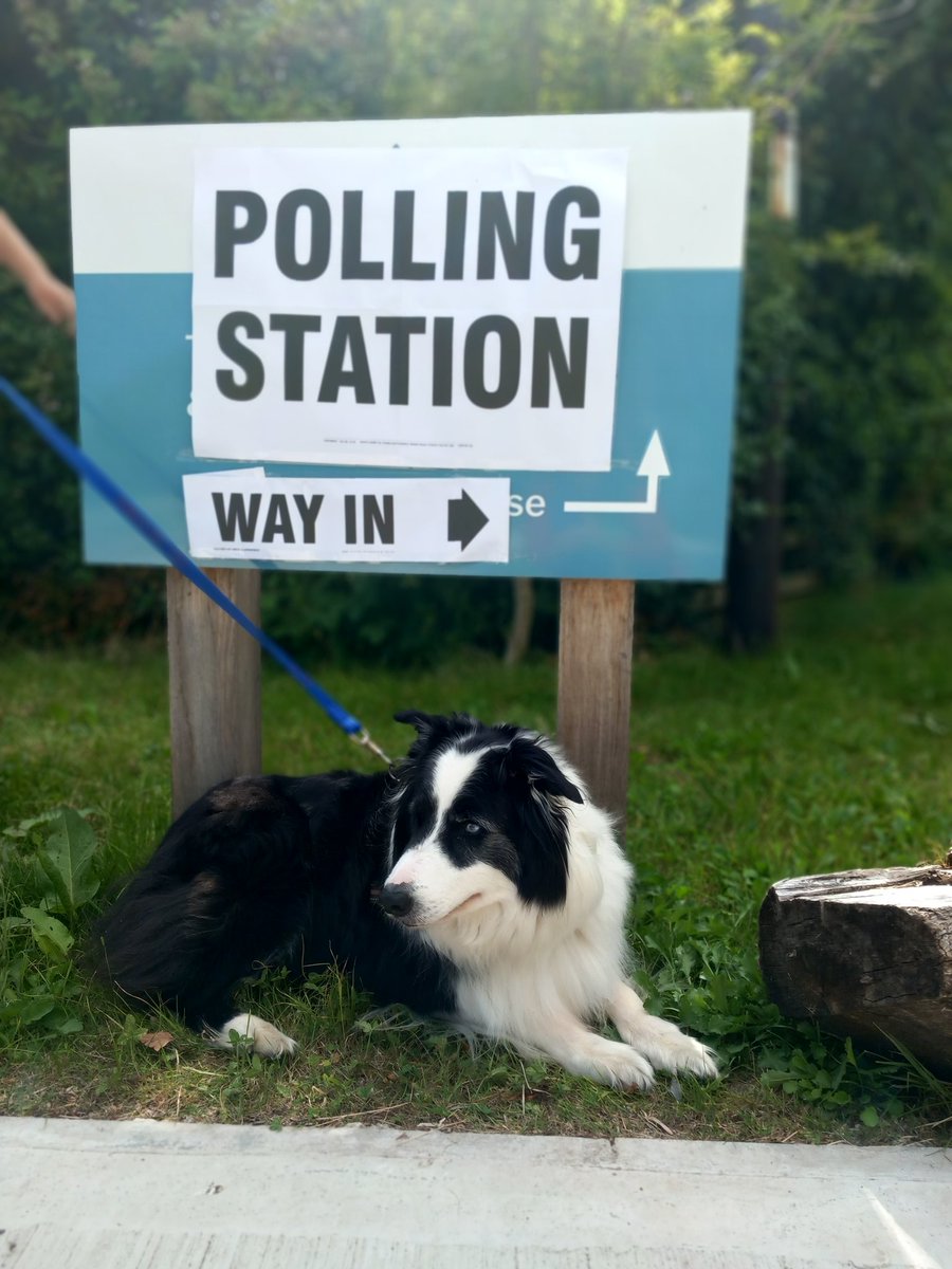 ERFPiano's tweet photo. Charlie took me to do my civic duty. #dogsatpollingstations https://t.co/yTRGNjvdga