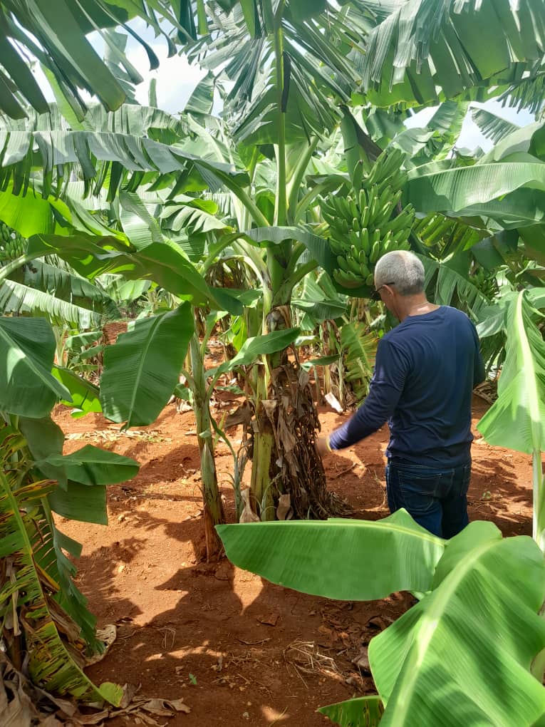 El vicepresidente de la República de #Cuba <a href="/SalvadorValdesM/">SalvadorVM</a>, en una provechosa jornada de trabajo donde se evalúa el aprovechamiento de nuestras fortalezas para avanzar en la producción de alimentos.
#ArtemisaJuntosSomosMás 
<a href="/DiazCanelB/">Miguel Díaz-Canel Bermúdez</a> 
<a href="/DrRobertoMOjeda/">Dr. Roberto Morales Ojeda</a> 
<a href="/PartidoPCC/">Partido Comunista de Cuba</a>