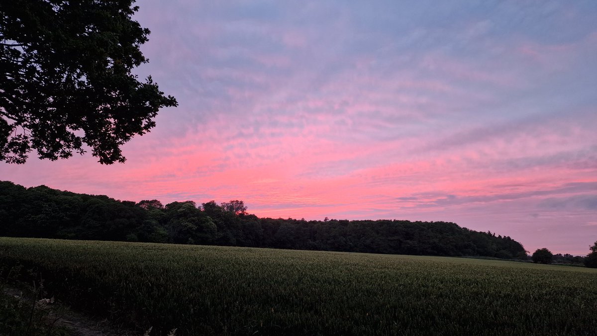 Andy Grieve @AndrewPGrieve@mstdn.social tweet media