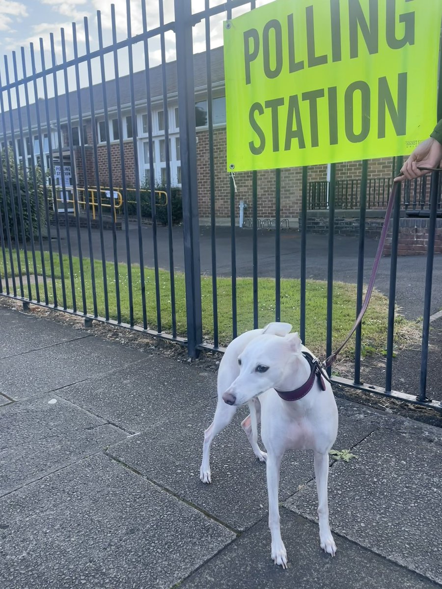 LoobySnelders's tweet photo. Pearl Snelders voted more snacks 🙌! #DogsAtPollingStations https://t.co/JPfXyYix3c
