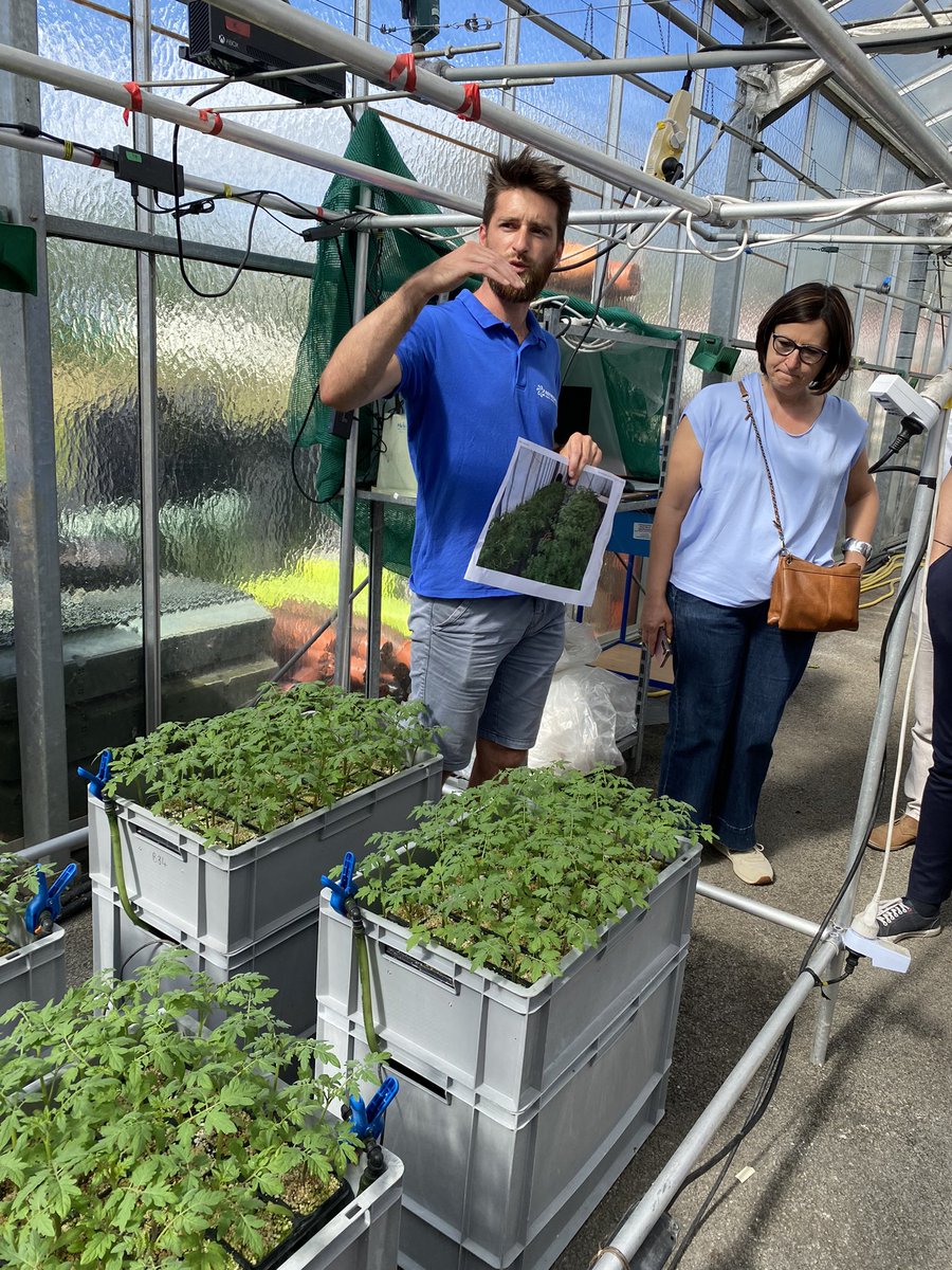 ChLambert_FICT's tweet image. Très heureuse de retrouver le Groupe de travail Fleurs&amp;amp;plantes du @COPACOGECA à Angers sur le site de l’Institut technique @astredhor 
Recherches&amp;amp;expé sur réduction des traitements avec mulch , #irrigation de résilience avec usage de biostimulants. 
Avec @verdir_officiel le…