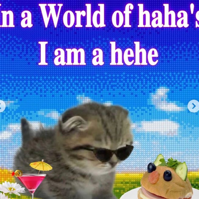 HOLO tweet media