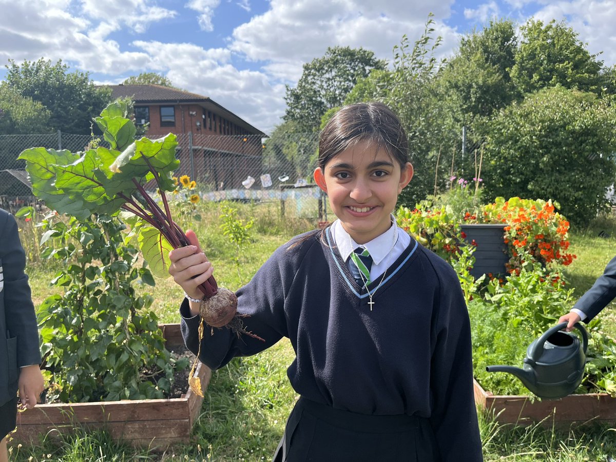 Springwest Blooms tweet media