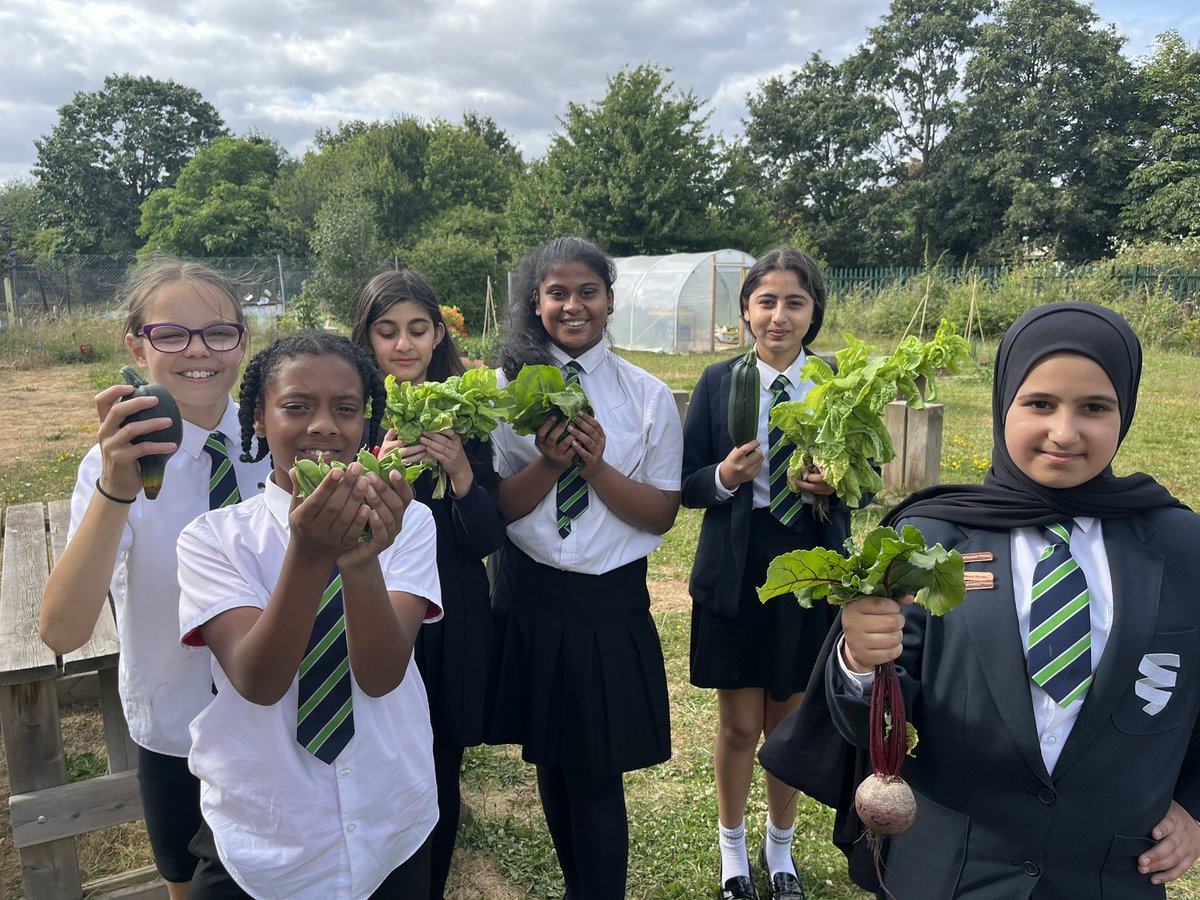 Springwest Blooms tweet media