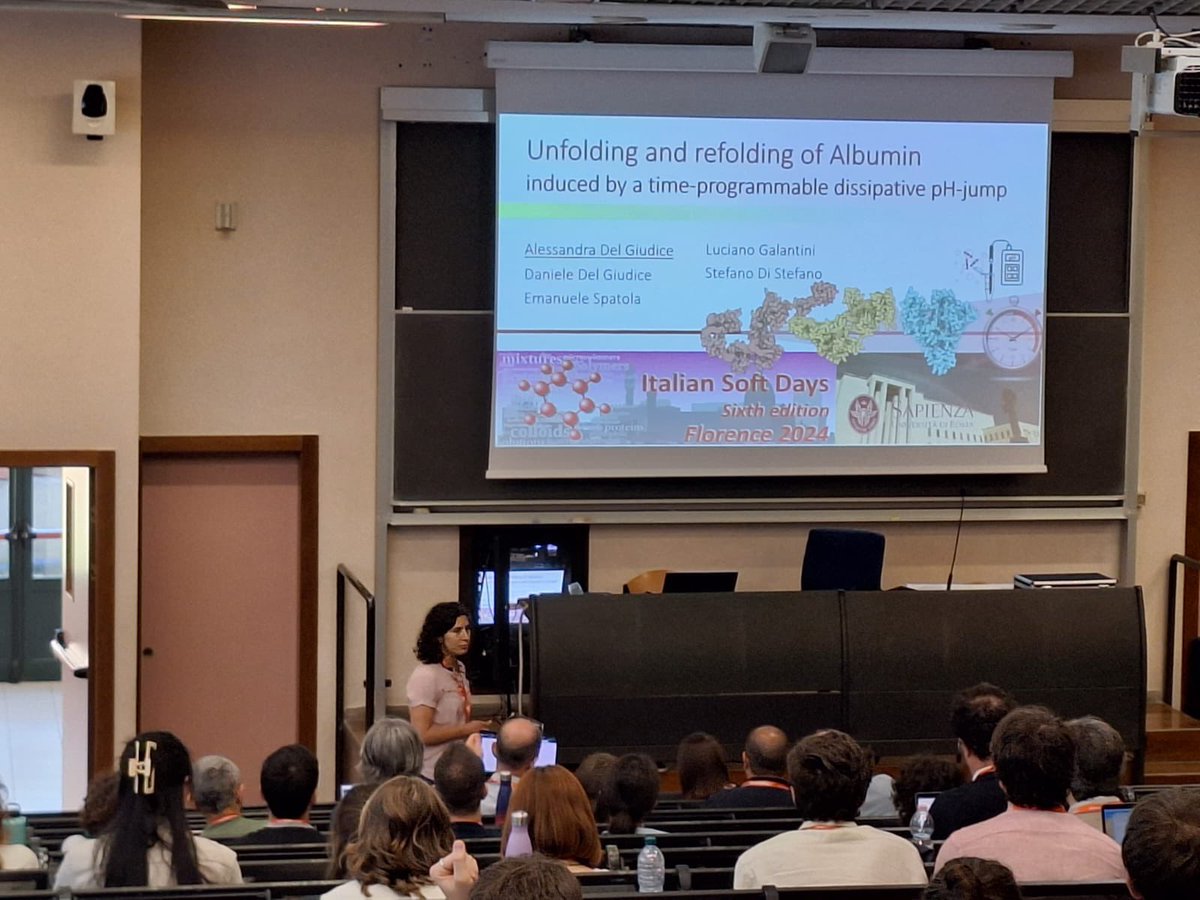 The Little Group of Complex Matter tweet media