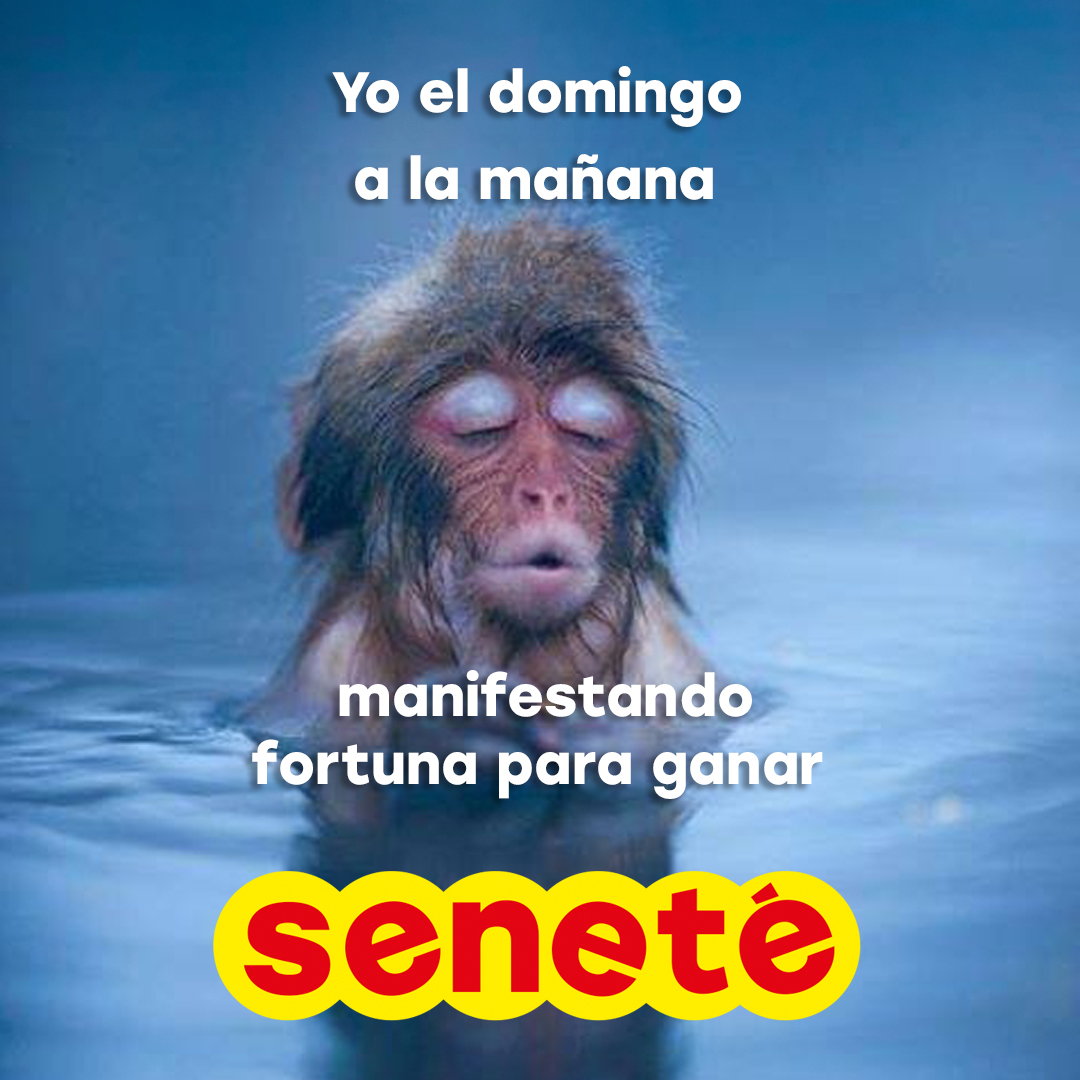 Senetepy's tweet photo. Manifestando 🫰🏻🤑
Hacé repost para la suerte🍀
#ChePoRemoi #Seneté #Suerte https://t.co/86Eq2bQPdL