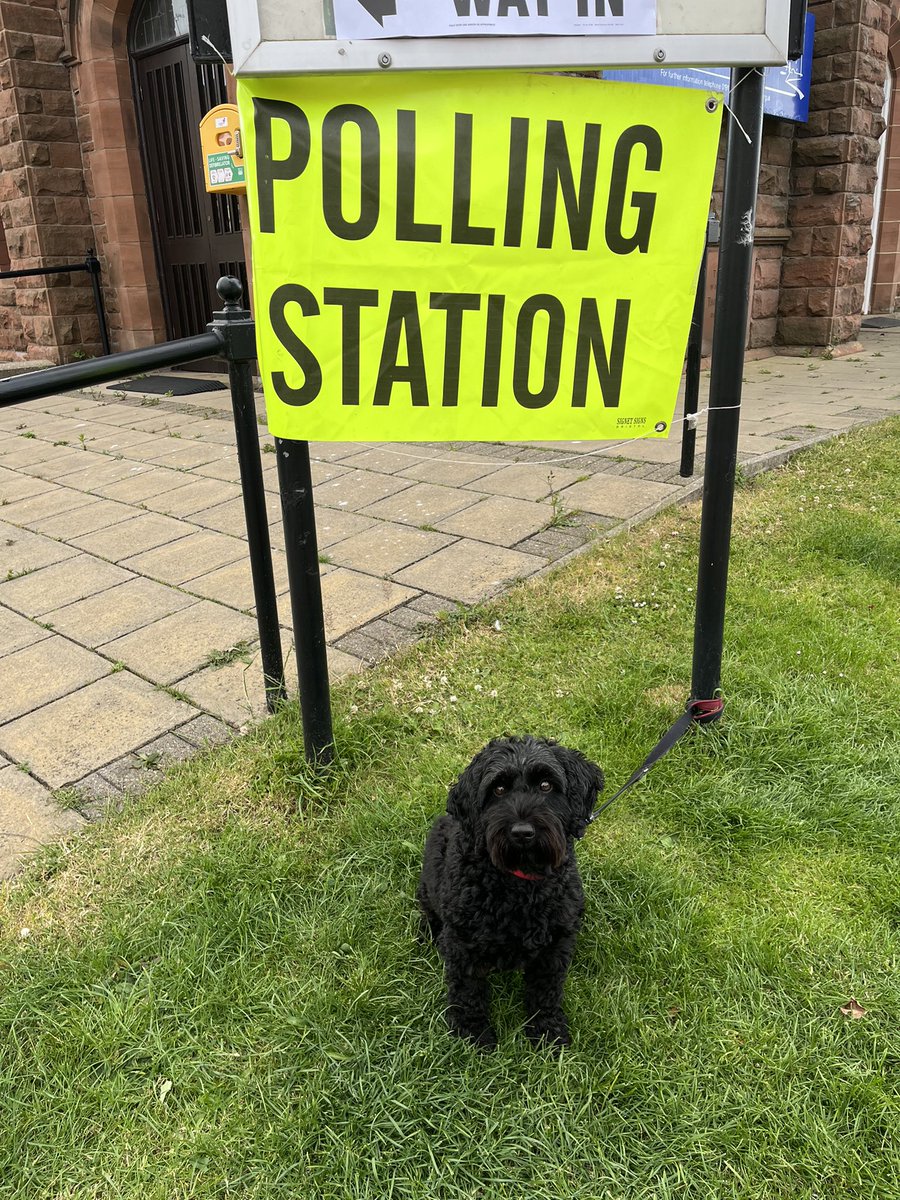#DogsAtPollingStations