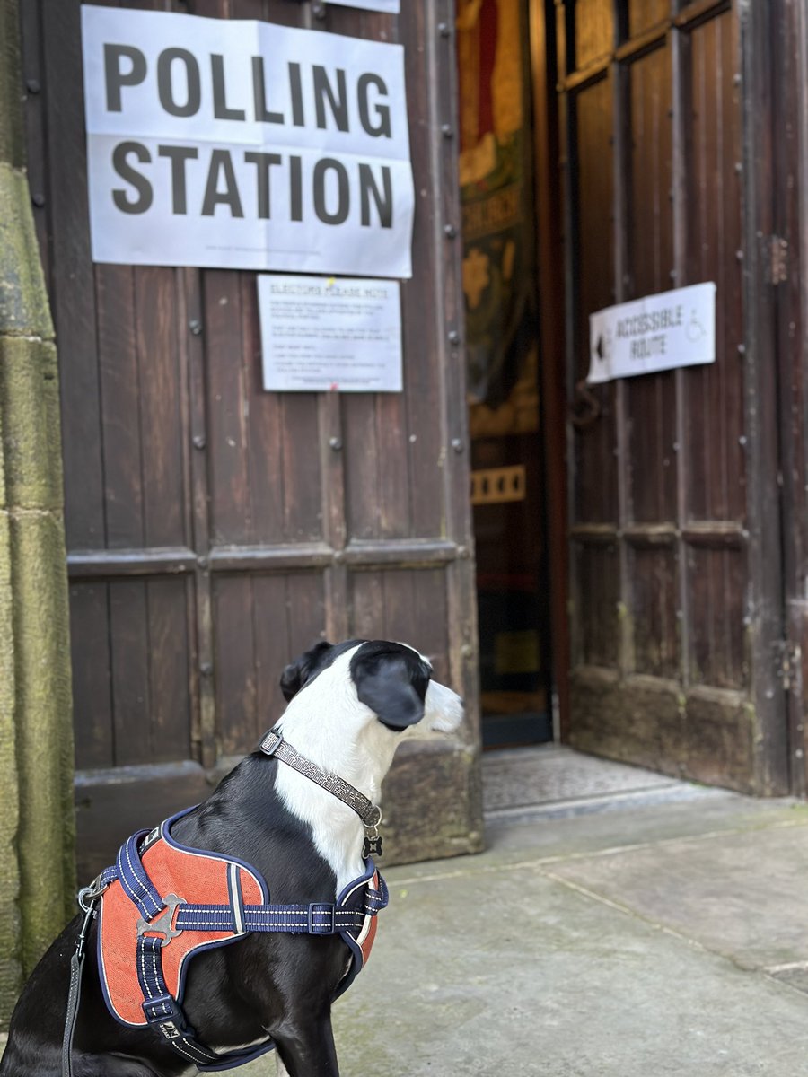 #DogsInPollingStations
Looking pensive and hopeful.