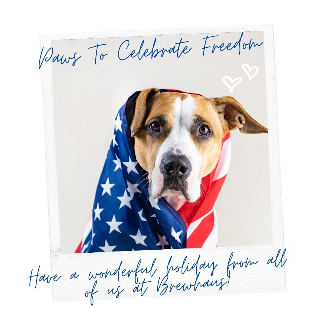 Brewhaus Dog Bones (@bhdogbones) on Twitter photo 