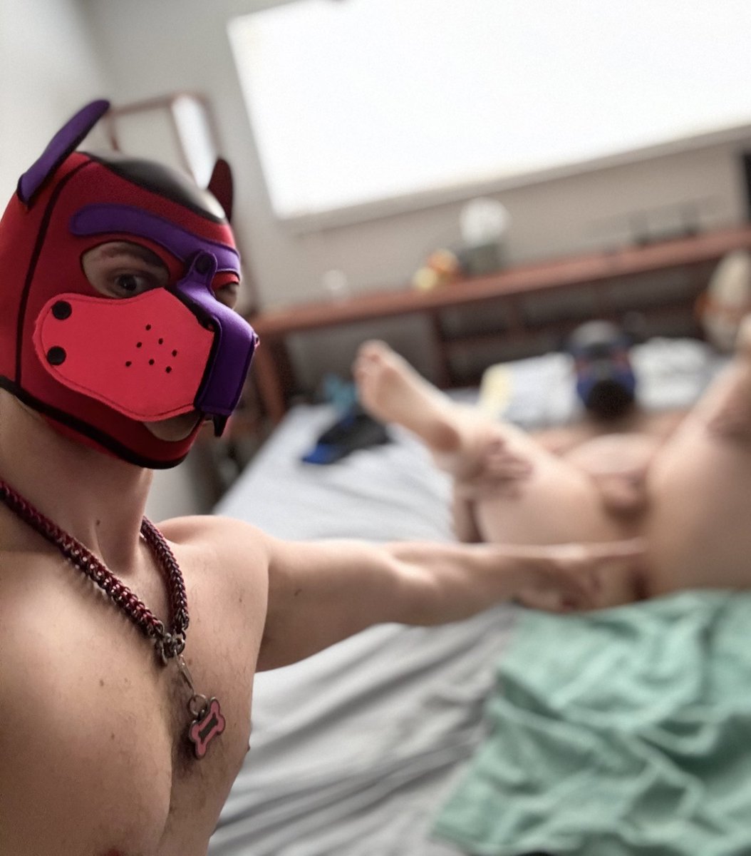 Pup Scarlet 🔜 FWA tweet media