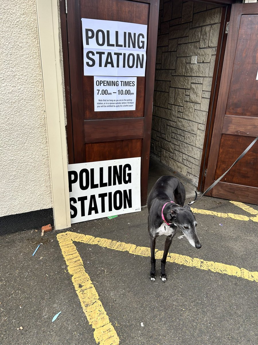 Went to drop off nannys postal vote earlier, as it was too late to post. Made sure her vote counted 🥰#DogsAtPollingStations #GeneralElection2024