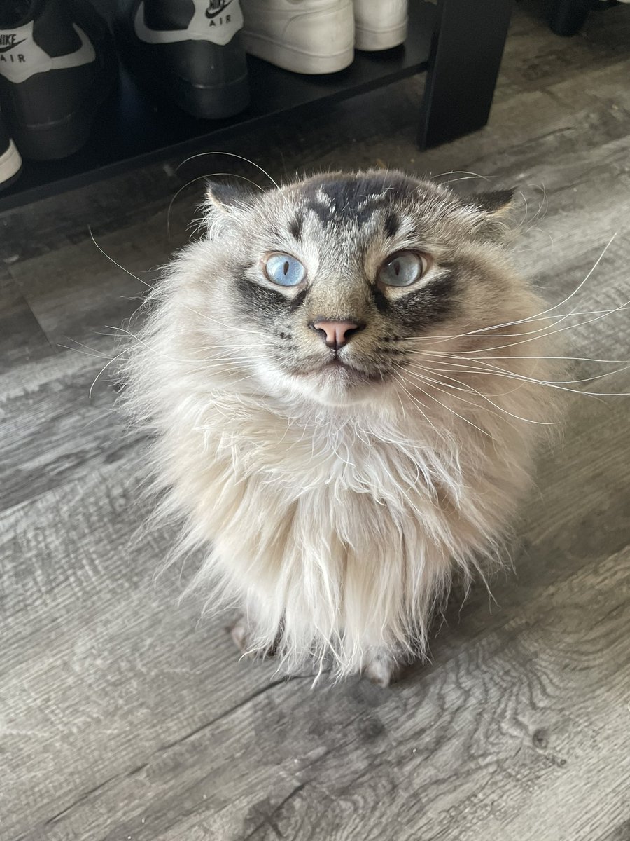 It was my baby boys gotcha day a couple days ago. 3 years ♥️