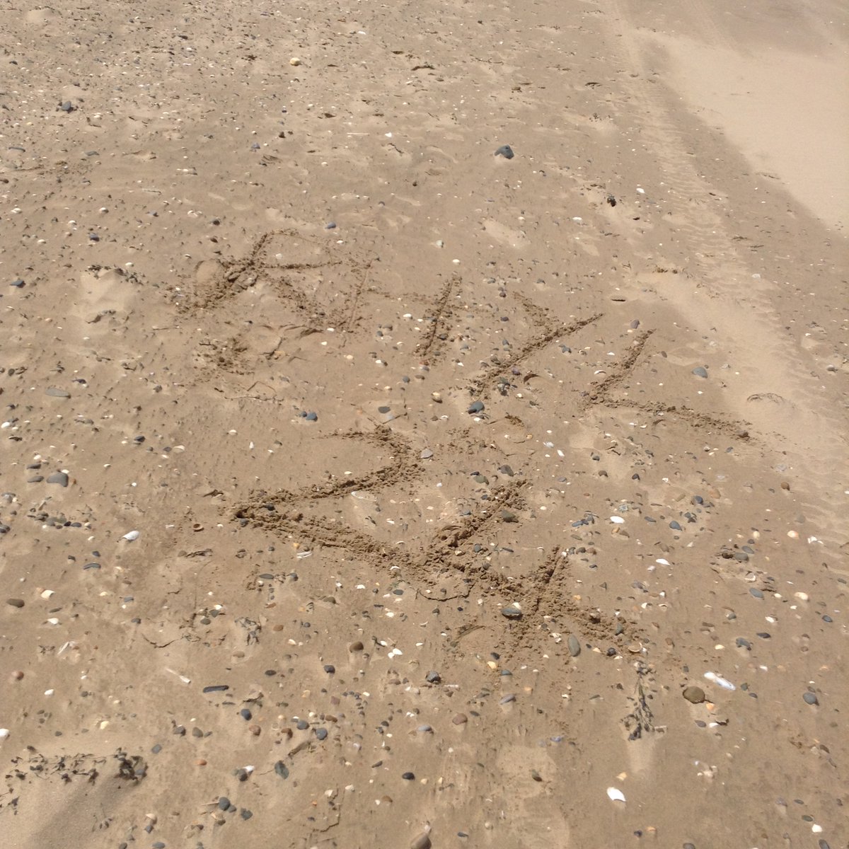 Miss Blocksidge tweet media