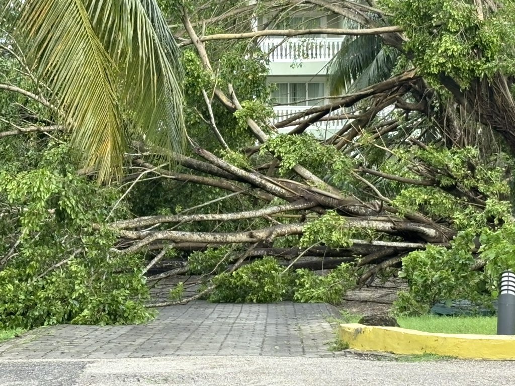 JLThompson007's tweet photo. Our resort survived quite well, comparatively speaking. Here are some damage photos: @MarcWeinbergWX @CBattistaTV #HurricaneBeryl #GrandPalladium https://t.co/SjqMvAMcOh