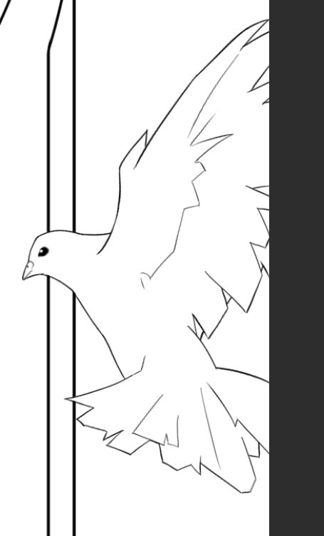 鳩🕊 