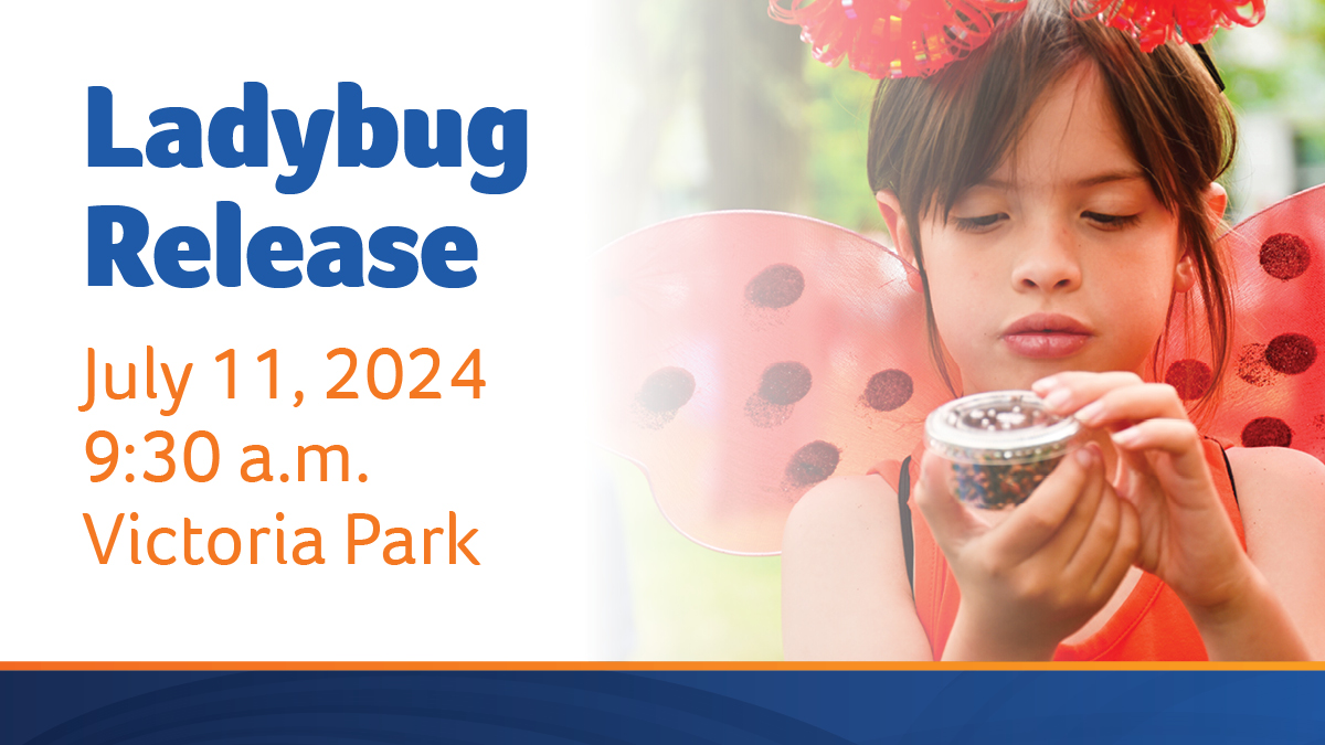 City of Regina tweet media